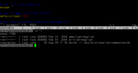 GNU Screen mit Split Screen
