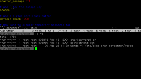 GNU Screen mit Split Screen
